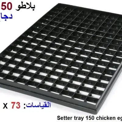 بلاطو 150 بيضة دجاج