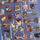 Cute cats stickers