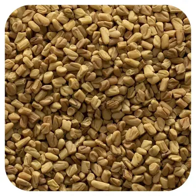 الحلبة