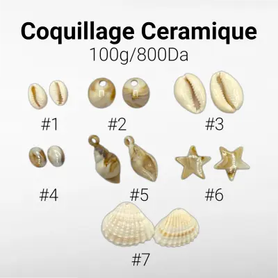 Coquillage Ceramique