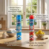Aérosol Insecticide HACKER 750ml
