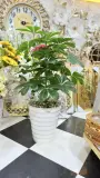 Chiflira Plante artificielle