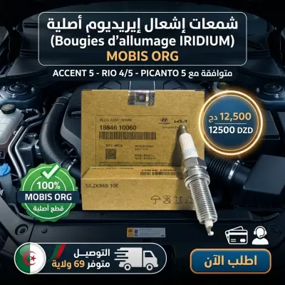 18846-10060BOUGIE D ALLUMAGE (IRIDIUM) ACCENT5-RIO4-5-PICANTO5 MOBIS ORG