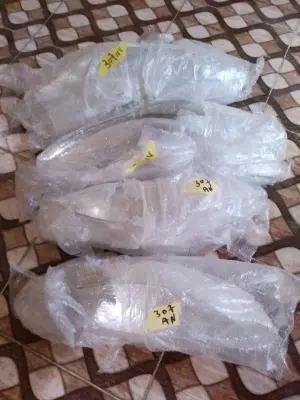 أغطية مصابيح أمامية بلاستيكية شفافة (بلاستيك فار) لسيارات بيجو 307