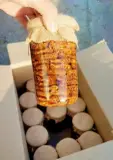 التين و الزيتون