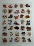 Water proof cat stickers sheet