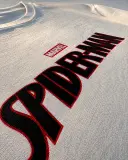 SPIDER MAN TSHIRT