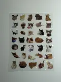 Water proof cat stickers sheet