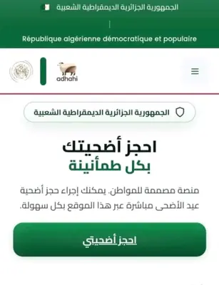 بيع الأغنام مستوردة