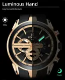 MONTRE REWARD VIP HOMME