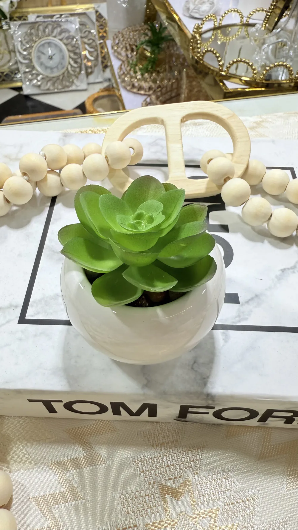 Mini cactus pot en verre