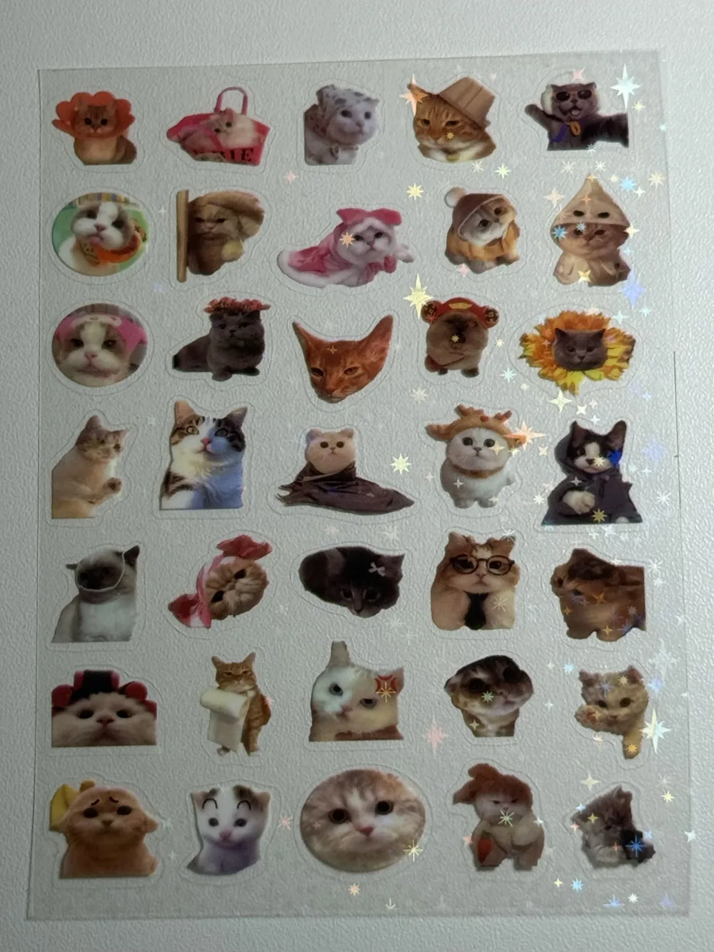 Water proof cat stickers sheet