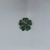 Fleur avec strass