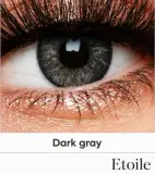 Dark grey lentille