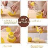LemoPress 🍋