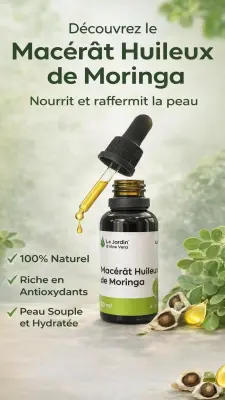 Macérât huileux de Moringa زيت المورينقا