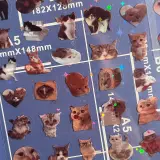 Cute cats stickers