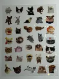 Water proof cat stickers sheet