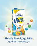 Viva كانديا حليب1ل