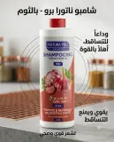 Natora pro شامبو عائلي بخلاصة الثوم 1ل