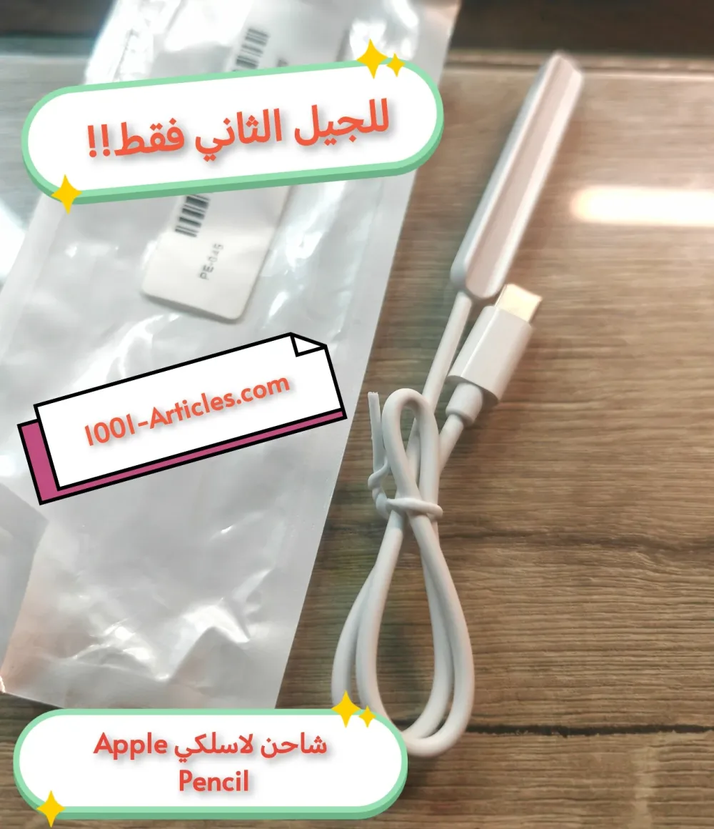 Chargeur Magnétique Wireless Apple Pencil 2 Gen