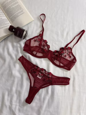 Dark red lingerie set