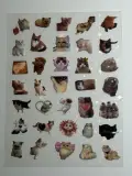 Water proof cat stickers sheet