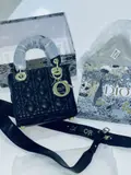 Lady DIOR Signature – Édition Luxe