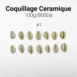 Coquillage Ceramique