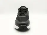 Basket Sketchers