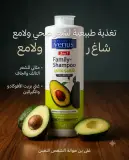 Venus شامبو عائلي بمستخلص الأفوكادو 1ل