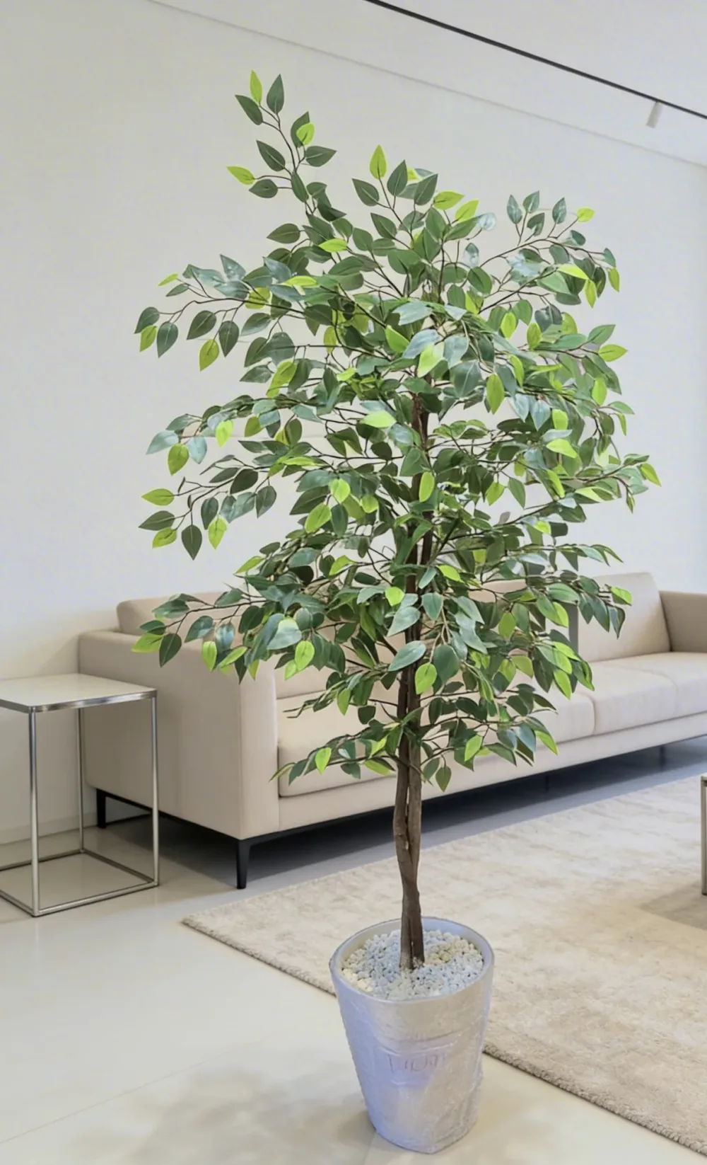 Ficus artificielle 180 cm - شجرة فيكوس اصطناعية