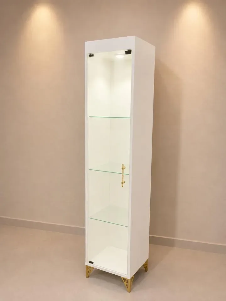 فيترينا زجاجية عصرية مع إنارة وقفل (Vitrine d’affichage)