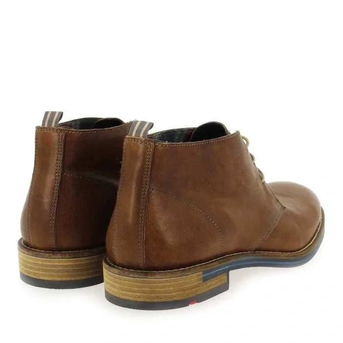 Bottines Homme Lloyd Daniel en Cuir Véritable Marron – Style Élégant