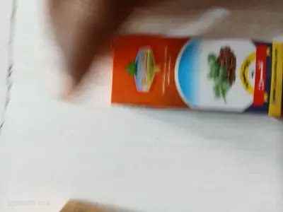 زيت الخروع