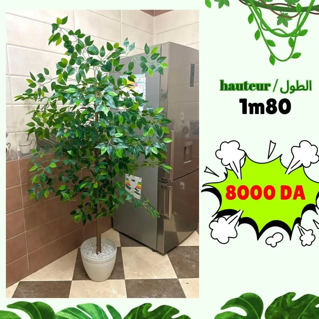 Ficus artificielle 180 cm - شجرة فيكوس اصطناعية