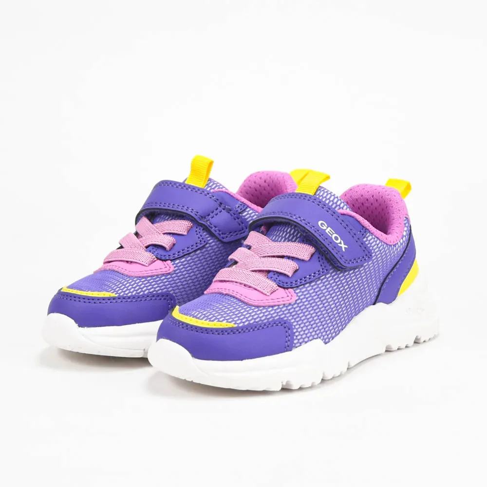 GEOX BASKET