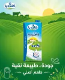 كانديا حليب 1ل