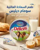 Délices جبن 24