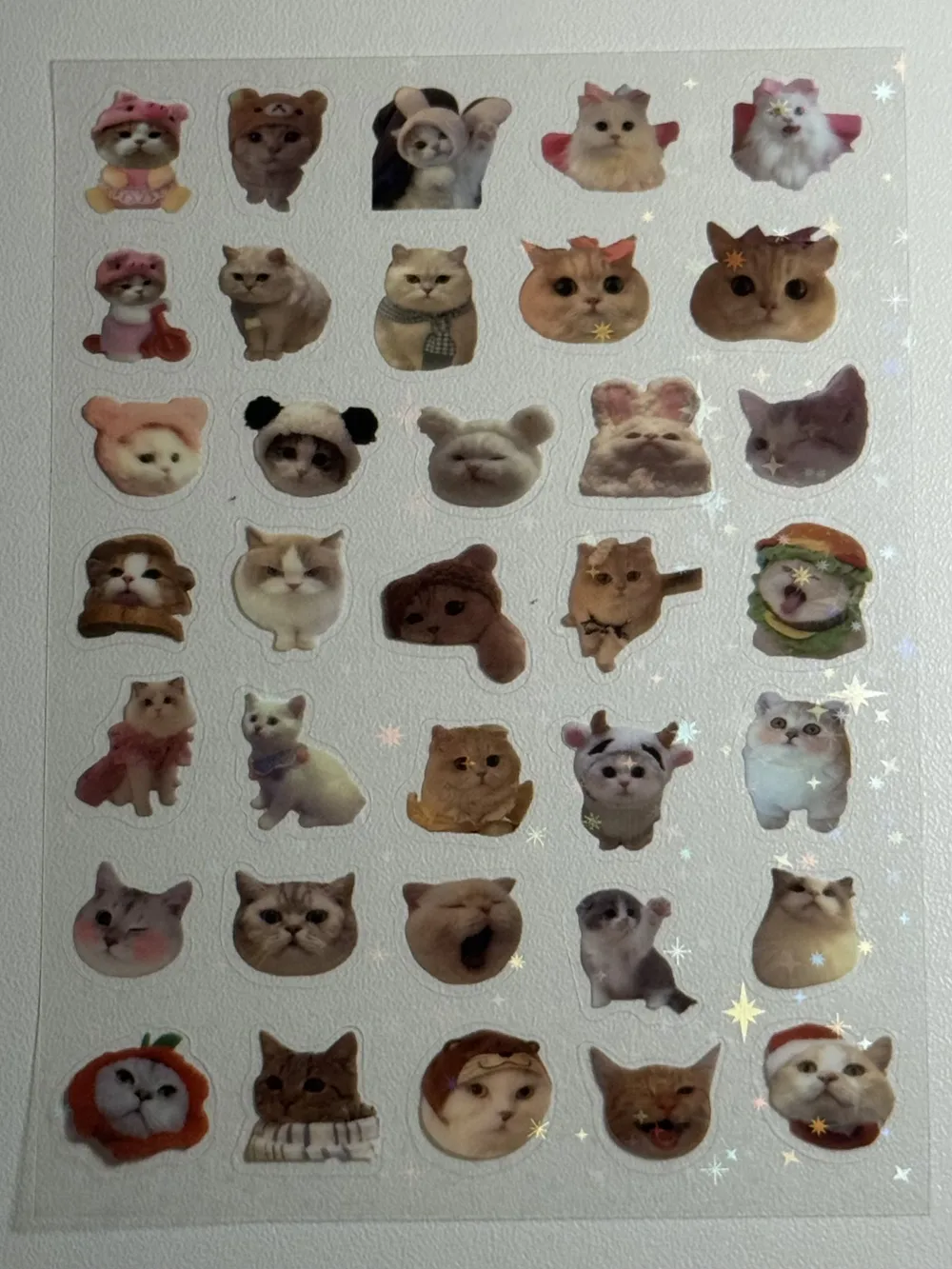 Water proof cat stickers sheet