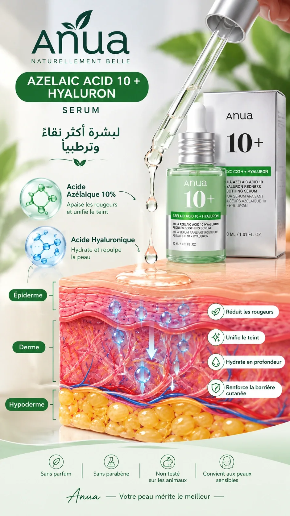 Anua Azelaic Acid 10+ Hyaluron Serum