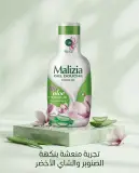 Malizia جال دوش بعطر الالصبار والماغنوليا 1L