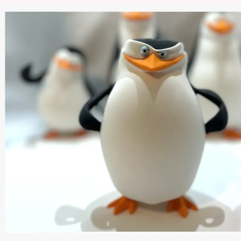 Skipper