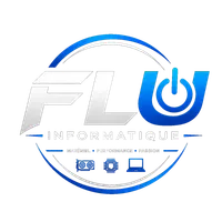 FLU Informatique