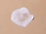 Spray Change 75ml
