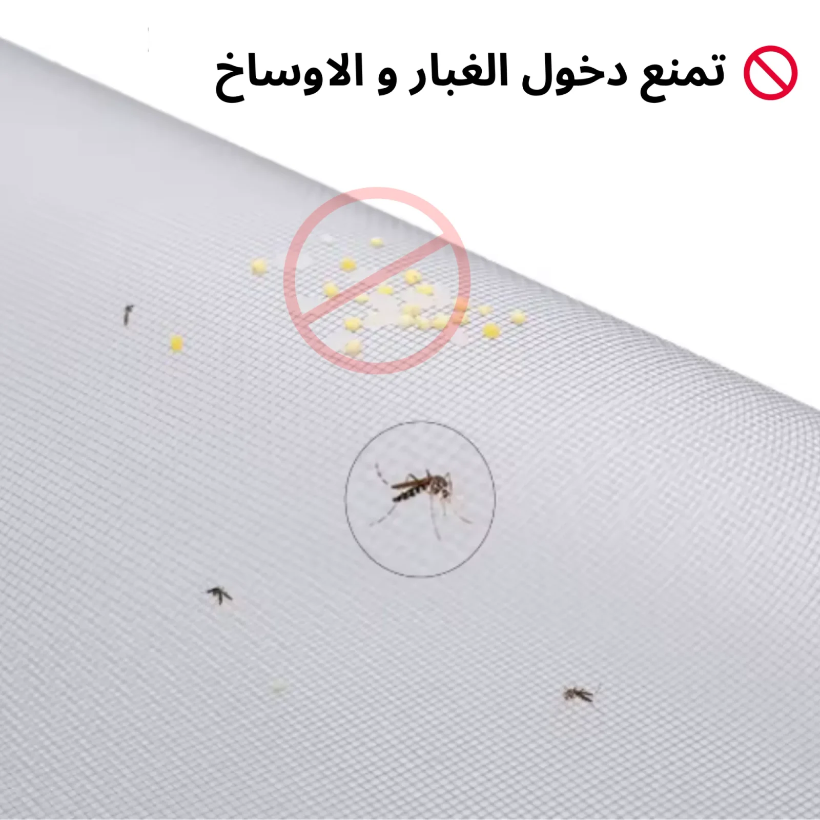 ناموسية