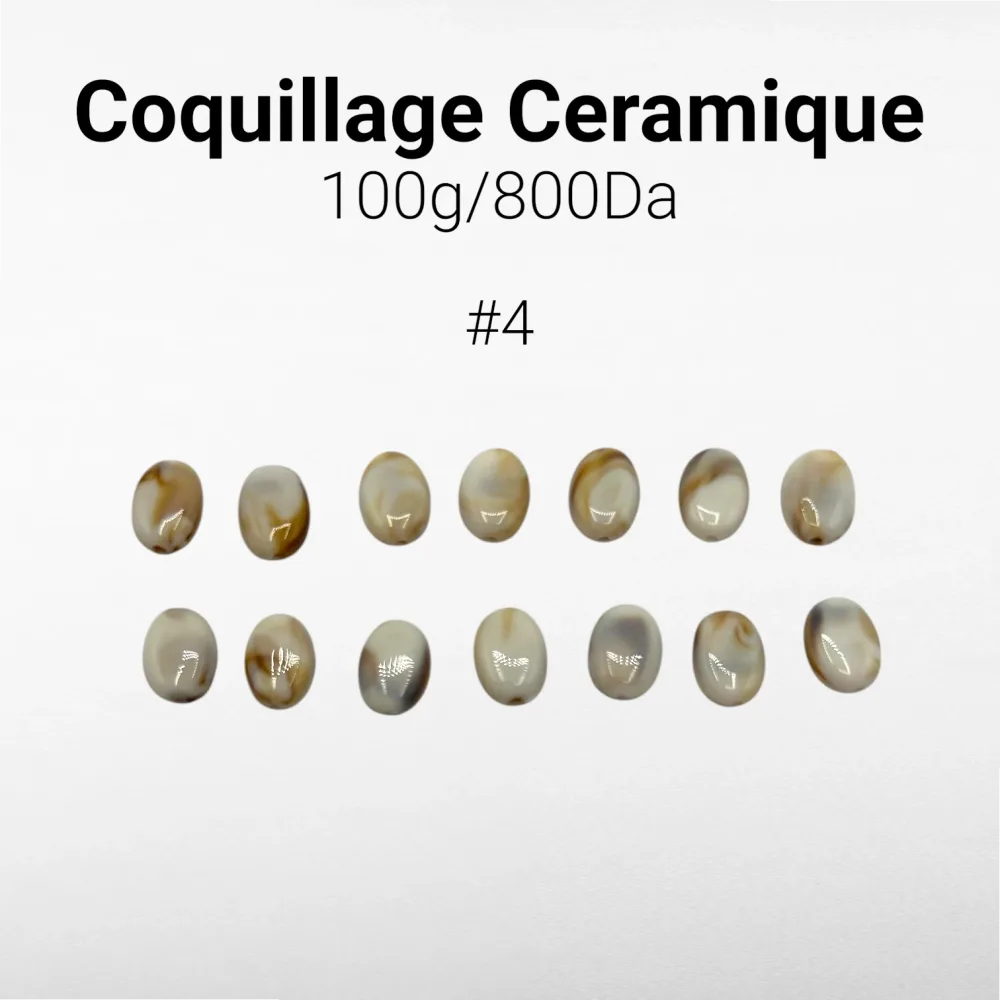 Coquillage Ceramique