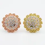 Broche  Salon Plastique  B03