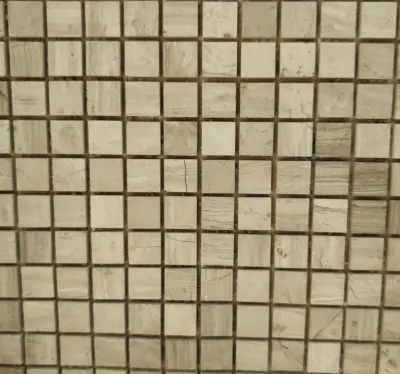 Ms020