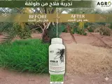 H-erbix مبيد القضاء على الأعشاب الضارة